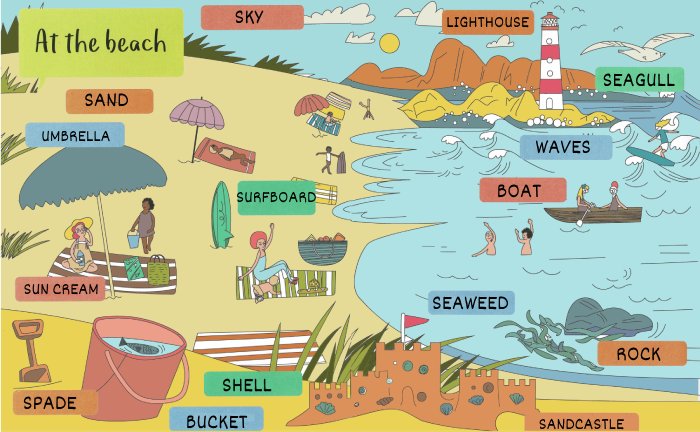 at the beach english english esl listening quiz
