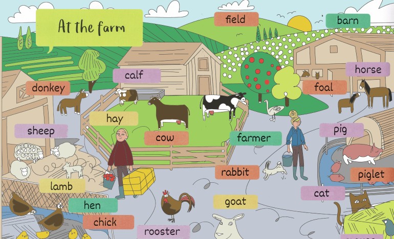 at the farm english esl listening quiz