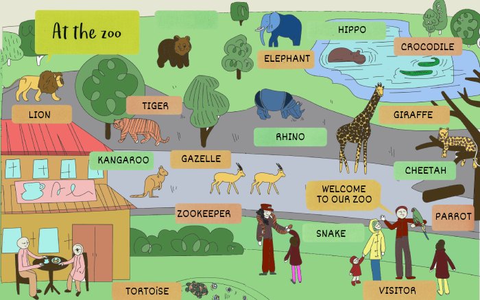 at the zoo english esl listening quiz
